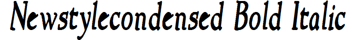 NewStyleCondensed Bold Italic font
